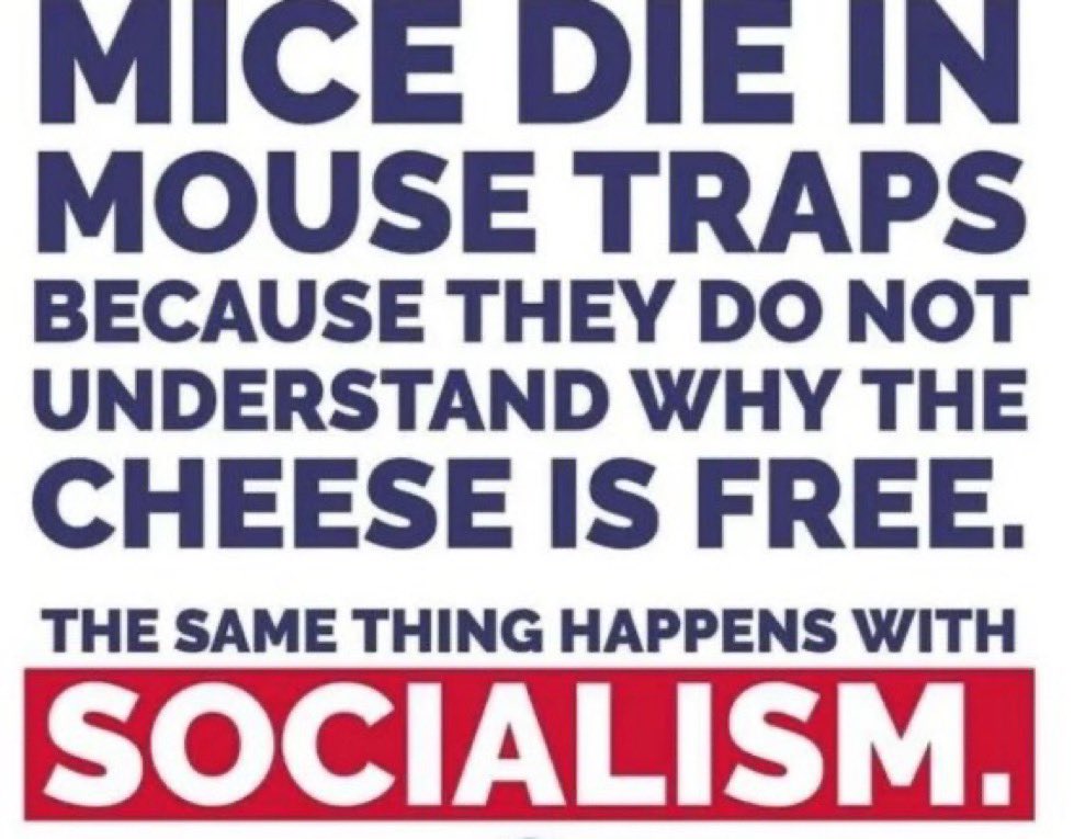 VictorBachmann6's tweet photo. @BasedMikeLee https://t.co/QxDMqS8HVp