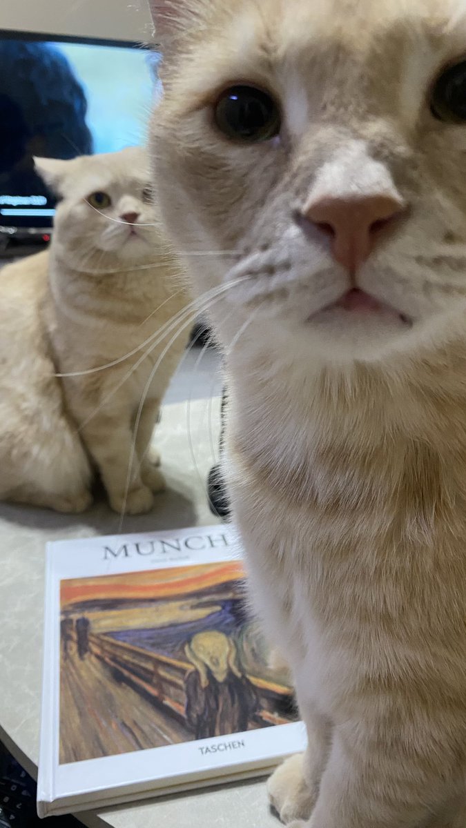 Haifa Alhawiti tweet media