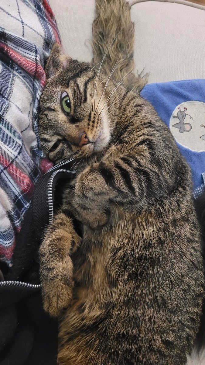 La scionce elle pionce ou elle pionce pas? C'est le dodo de Schrodinguer