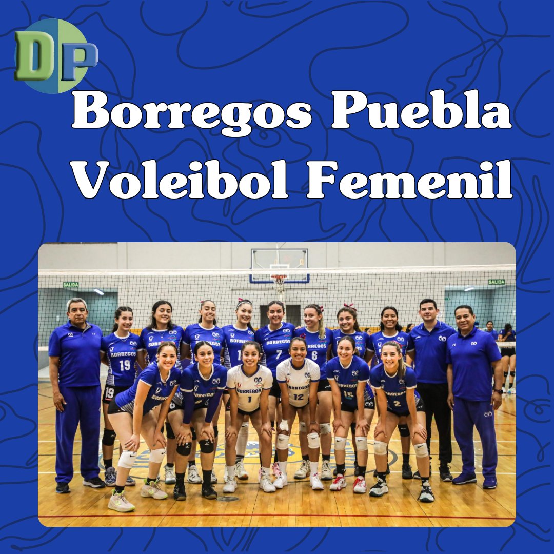 DeporPueblaRHE's tweet image. Borregos Puebla femenil: de estudiantes a Top 3 nacional 🏆💙 Un equipo que demuestra que talento, estudio y pasión van de la mano. 🏐💪🔥

Toda la información ⬇️
instagram.com/p/DQxDSNSAY_u/…

#DeporPuebla #OrgulloBorrego #BorregosPuebla

🔄 @ChevaKevin @angiecheva @denzelhernandez…