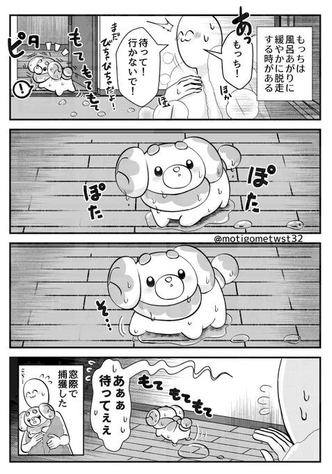 ゆるゆる脱走パピモッチ
二枚目はもっちに勝手にアテレコした差分
#ポケモンと生活 