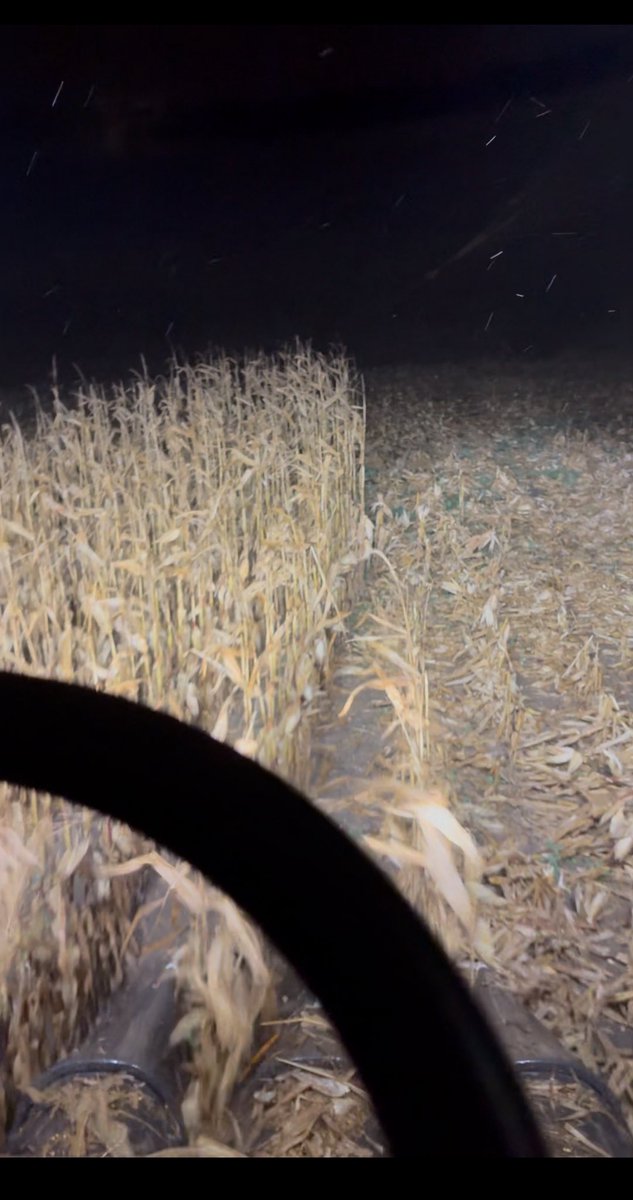 Finally found last pass of our corn! Just a bit of custom left