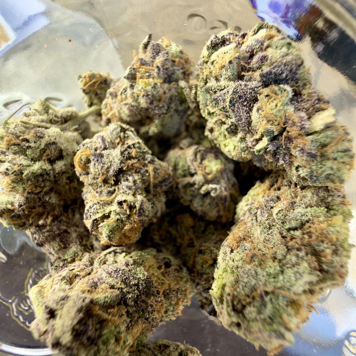 alexsmok3's tweet photo. Smoking on some jelly zappers⛽️ https://t.co/m8rIyEdaoO