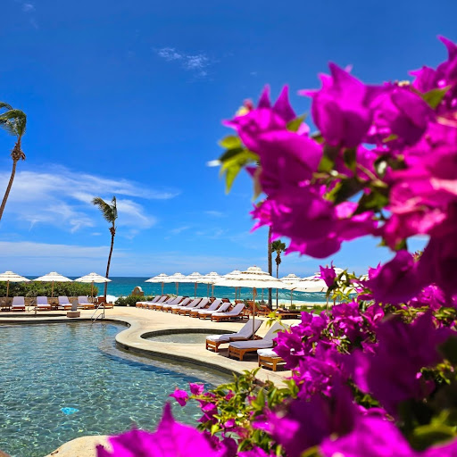 Shenlee0's tweet photo. The vibrant magenta bougainvillea frames this view perfectly. Pure blue skies, clear water, and the ocean breeze—this is exactly where I belong. 💖🌴🌊 #TropicalParadise #ResortLife #VibrantColors #TravelGoals https://t.co/Pk8dTYGA5E