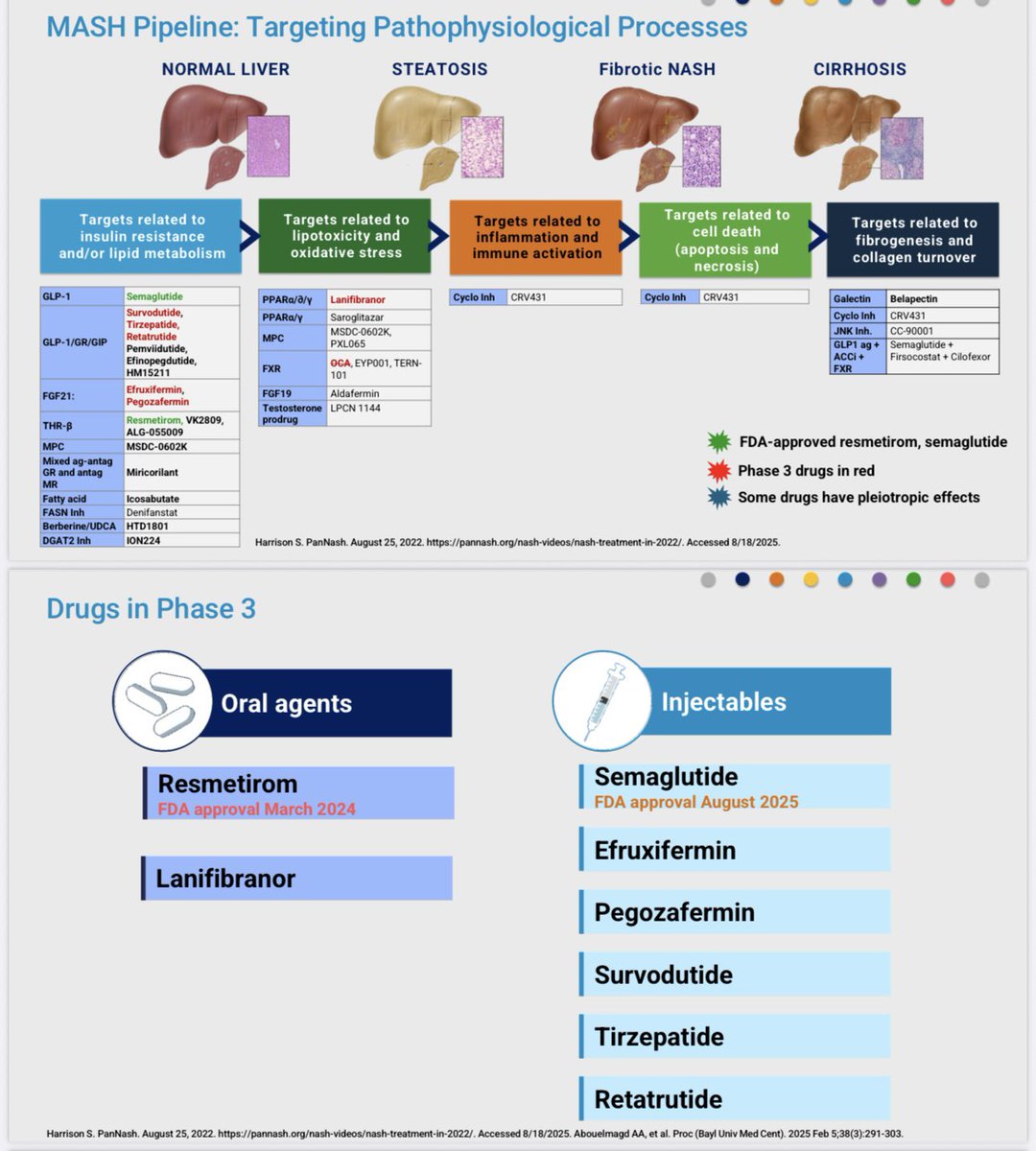 thandahan's tweet photo. Highlight- Expert Perspective on Dx and Mx  of MASH #TLM25 @AASLDtweets https://t.co/G3Kozhpssa