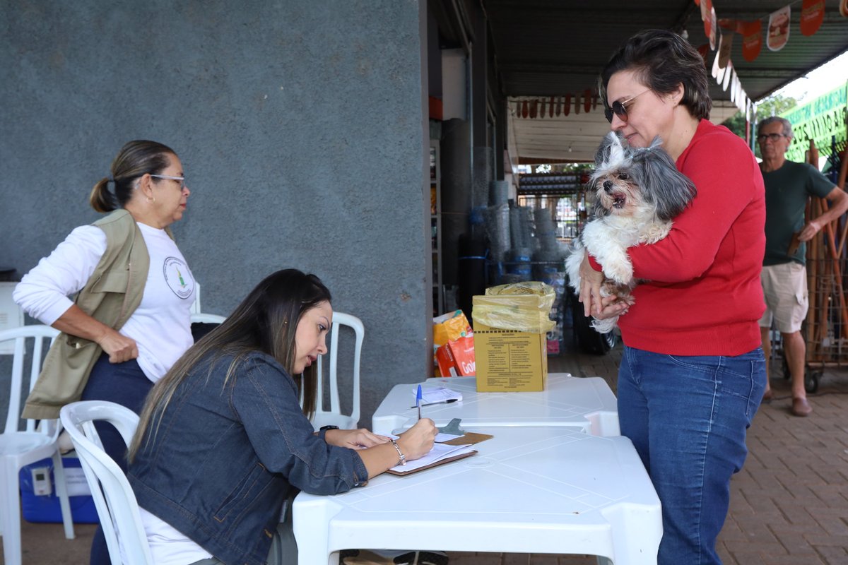 As equipes da SES aplicaram, ao longo de outubro, 53 mil doses antirrábicas em gatos e cachorros. Nos últimos quatro sábados, a pasta abriu 462 postos de vacinação em espaços como o estádio Bezerrão do Gama e a Biblioteca da Estrutural. 

📲Saiba mais: encurtador.com.br/xniR