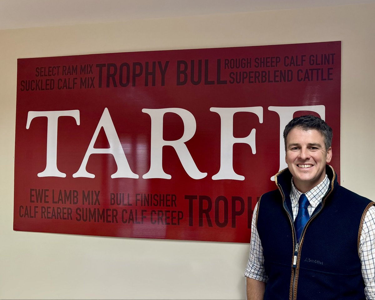 Tarff Valley tweet media