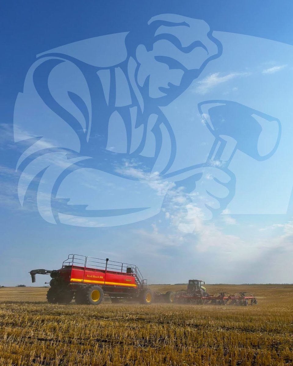 Dutch Agriculture tweet media