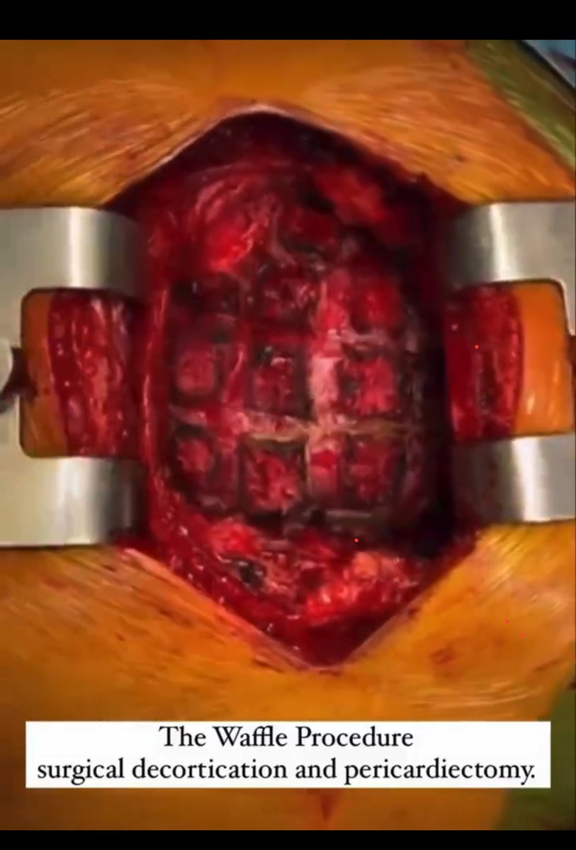 Dr Shashi Vohra tweet media