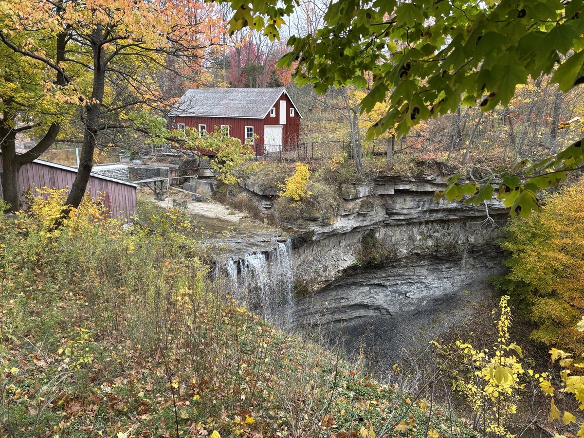 Morningstar Mill tweet media