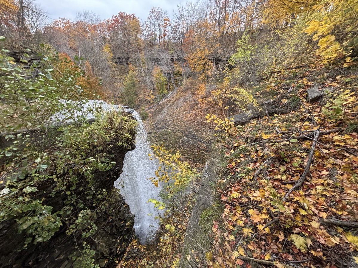 Morningstar Mill tweet media