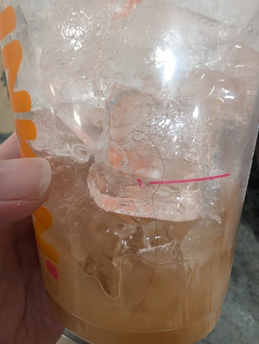 ReadOrDieAgentW's tweet photo. @dunkindonuts there's a hair in my coffee. https://t.co/8jw6HExxKe
