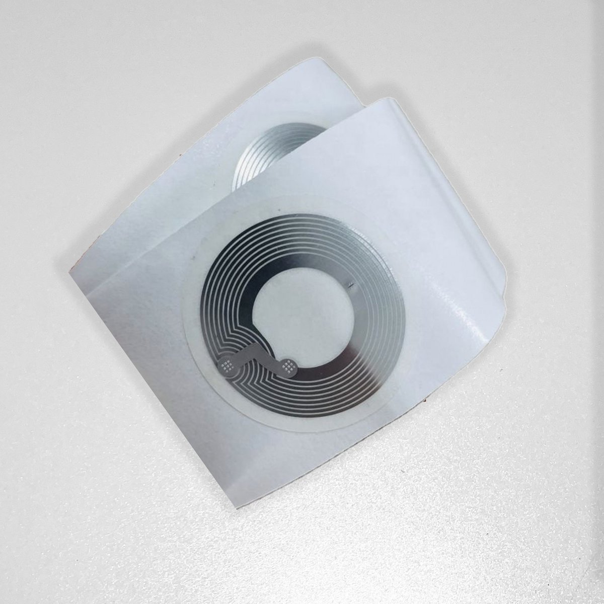 Lollipop tweet media