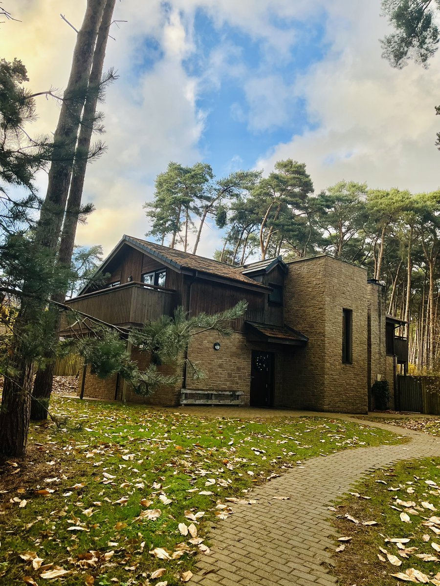 Amy Wilson tweet media