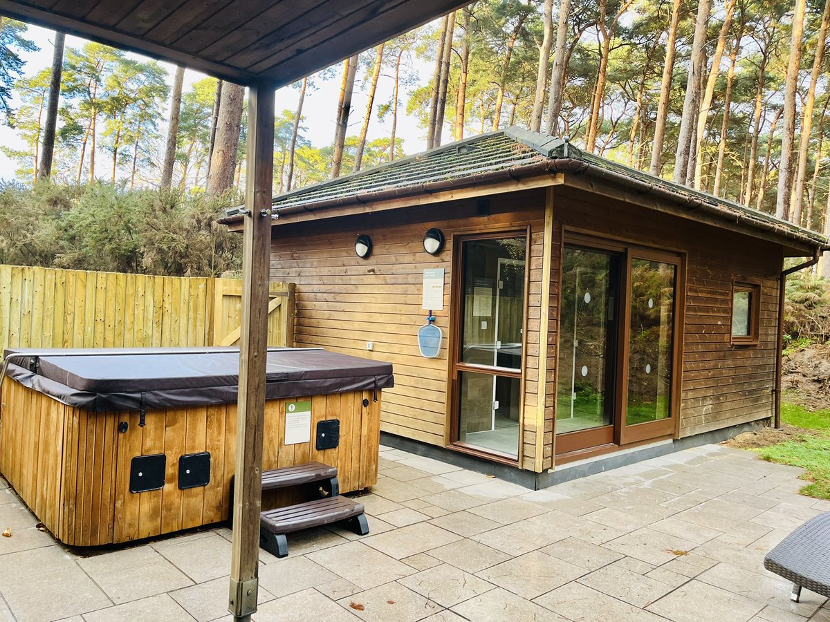 Amy Wilson tweet media