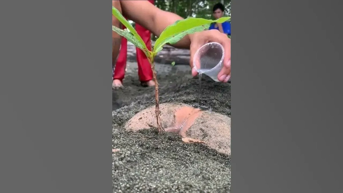 Elcat5's tweet image. This image says it all 🌿
It starts with you. Make a difference.

View the post 👉 app.ecox.network/community/post…
Earn GREEN on @ECOX_ECOToEarn while you act:
app.ecox.network/register?refCo…

#ECOX #GREEN #ECO_TO_EARN