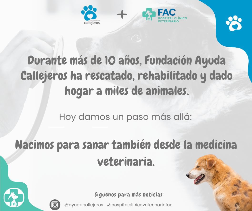 urrutia_sonia's tweet image. Con mucho orgullo les quiero contar que acabamos de inaugurar el primer Hospital Clínico Veterinario sin fines de lucro en la Región Metropolitana, creado por una Fundación, se viene un proyecto social maravilloso, donde podremos ayudar a mucha gente y más animalitos, de a poco…