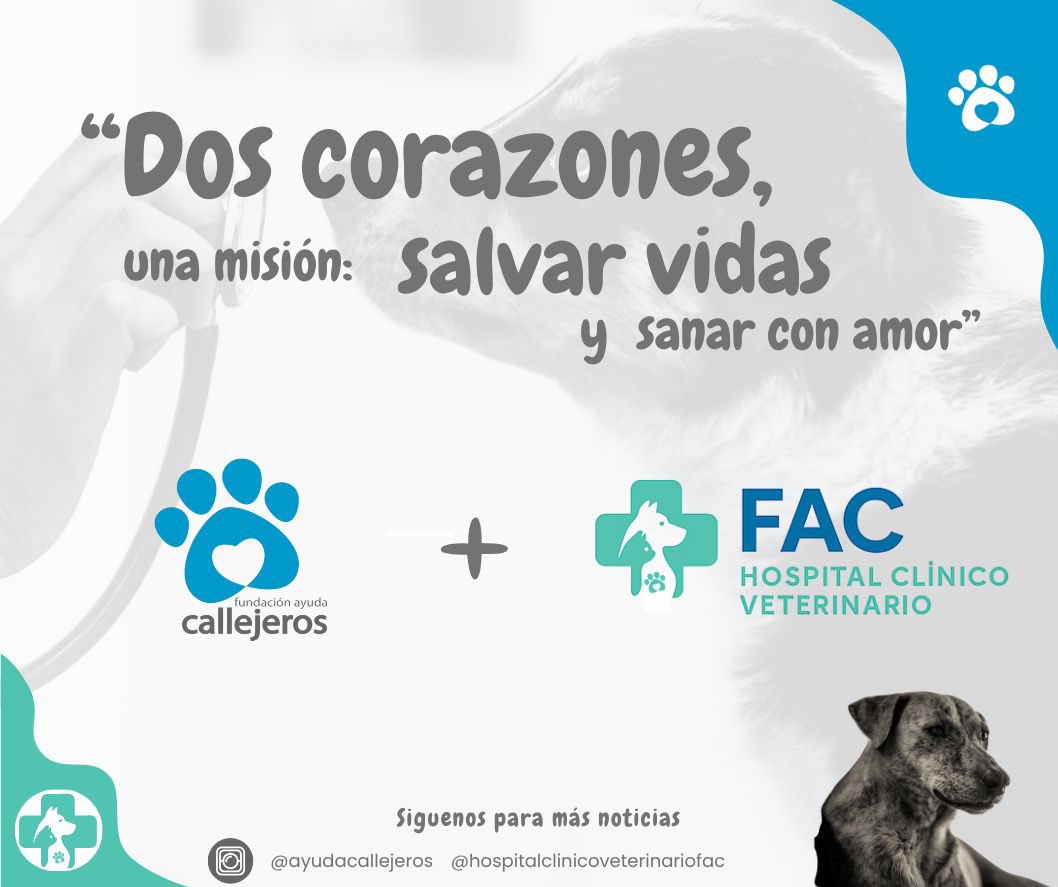 urrutia_sonia's tweet image. Con mucho orgullo les quiero contar que acabamos de inaugurar el primer Hospital Clínico Veterinario sin fines de lucro en la Región Metropolitana, creado por una Fundación, se viene un proyecto social maravilloso, donde podremos ayudar a mucha gente y más animalitos, de a poco…