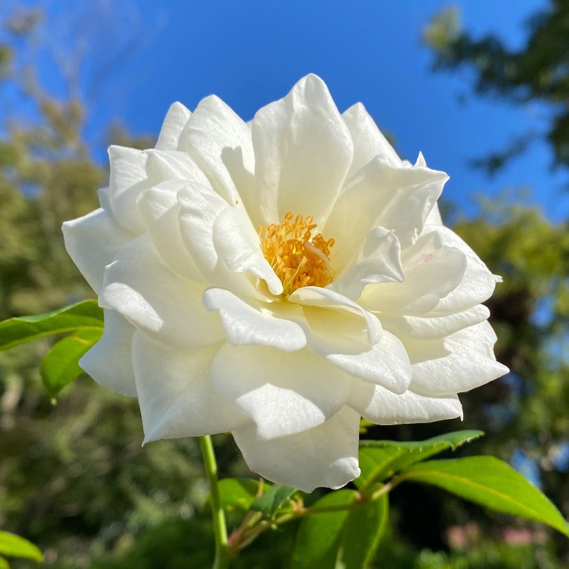 ひろみ 🦋 (@u90pVKxMdO9ffre) / Posts / X