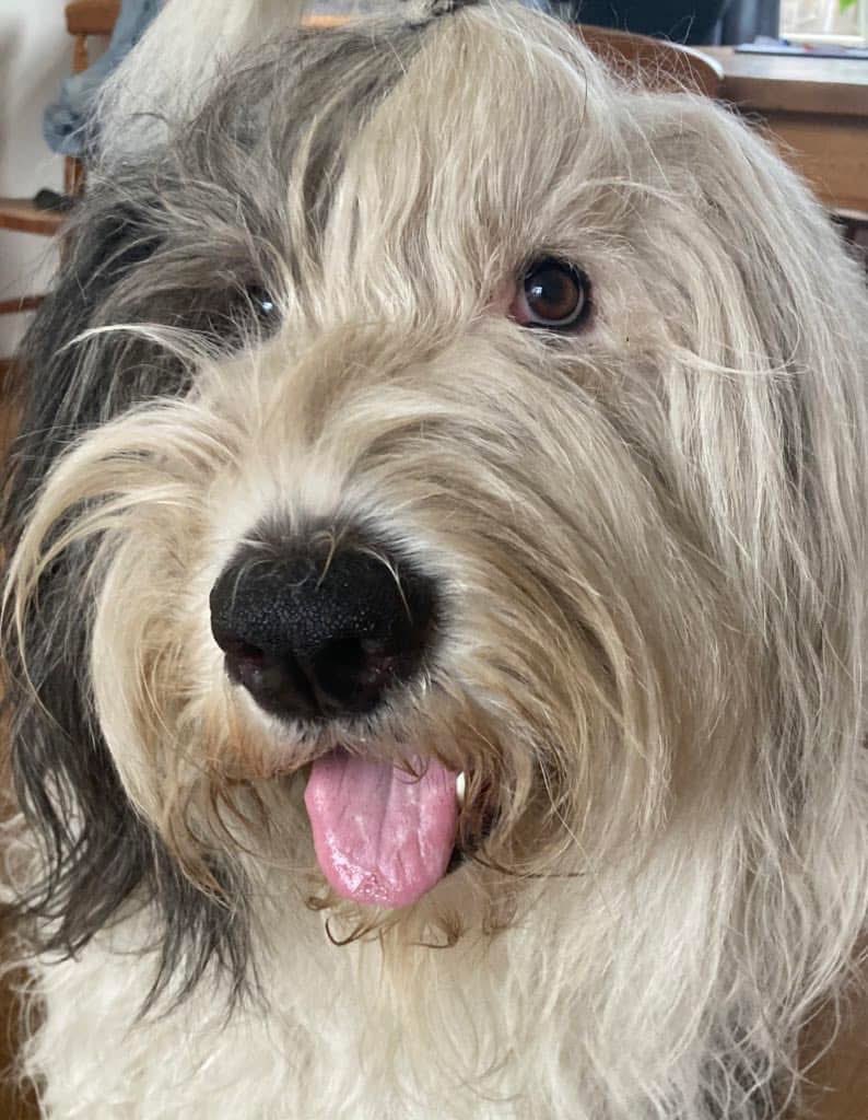 renevbaaren's tweet image. Mooie man  @Inspectie_LID @Meldpunt144 
Fijn weekend hier moet baasje werken