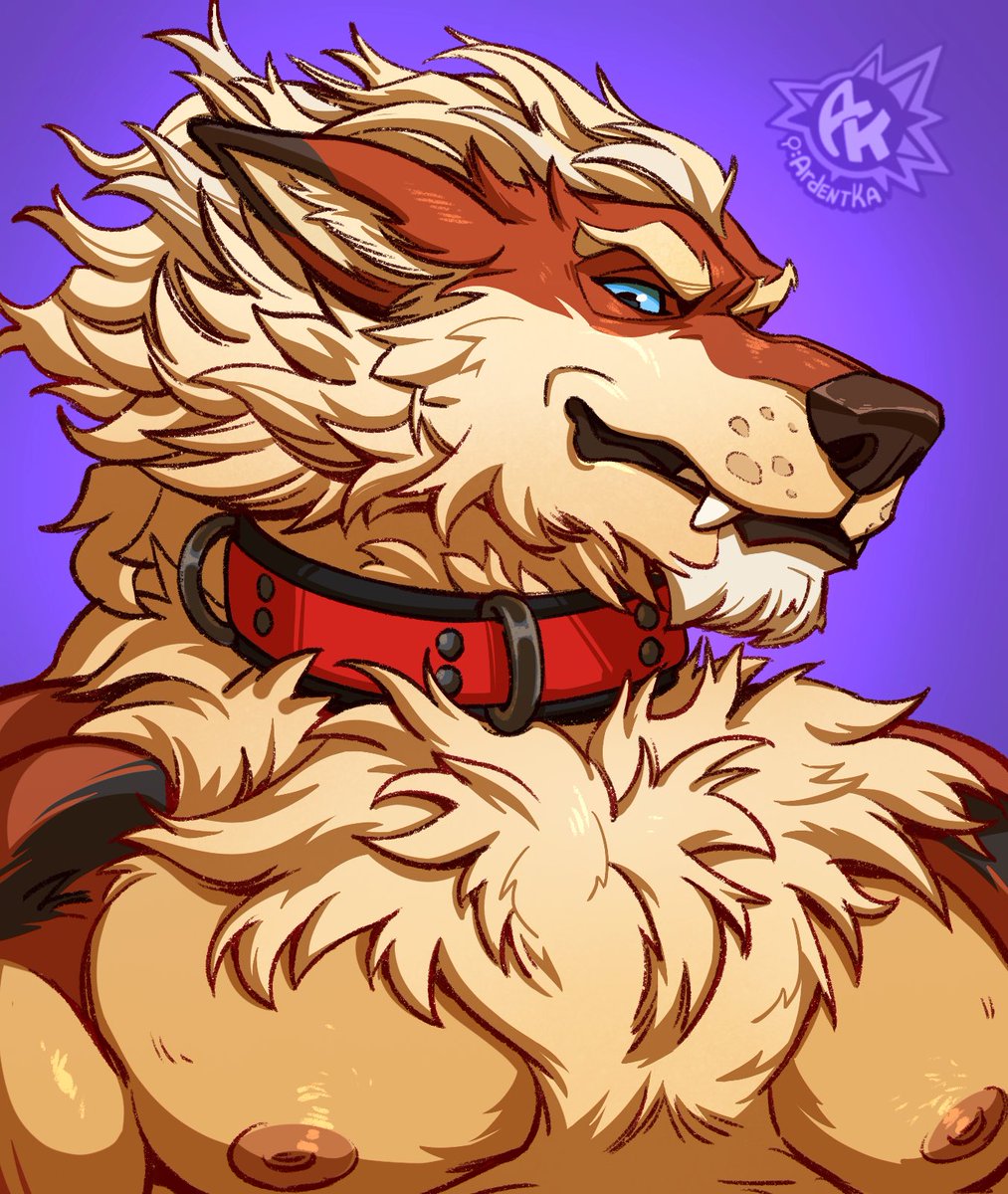 ArdentKa's tweet photo. Big boy for : @RookTheDog https://t.co/kjUdhwIxkt