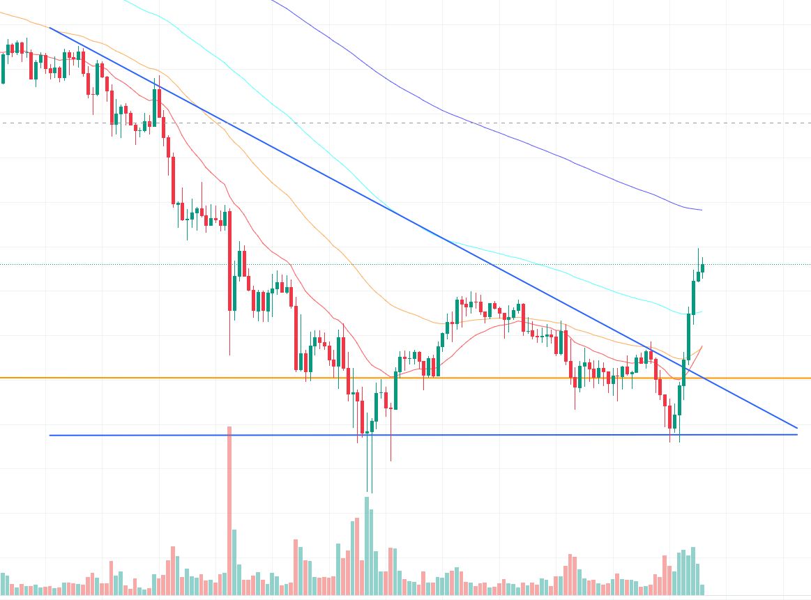 $PENGU looking good here

proliferate