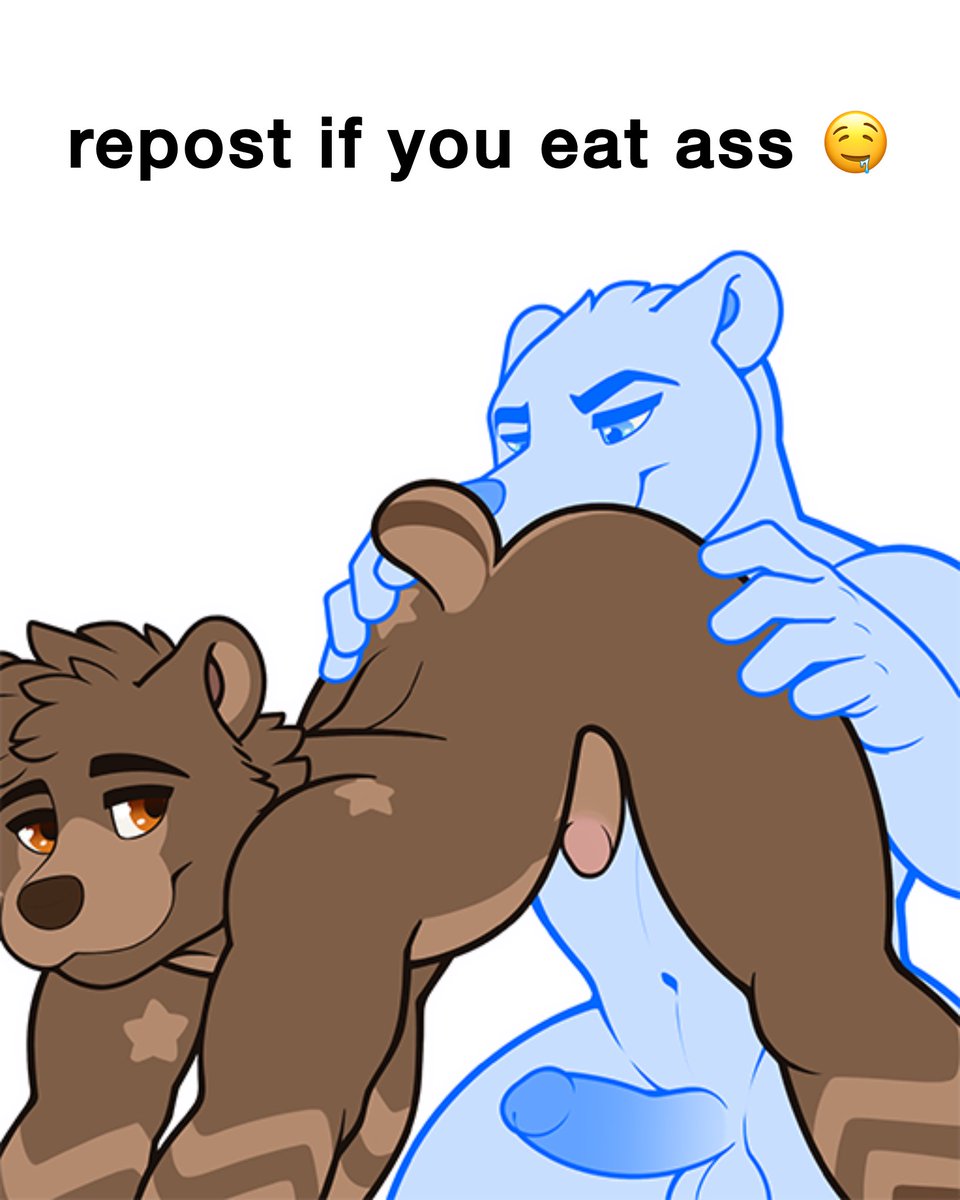 Boof the bear 🔞 tweet media