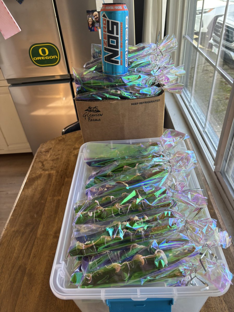 myrick29's tweet image. This is what we got done this week 🤘 #Getafterit