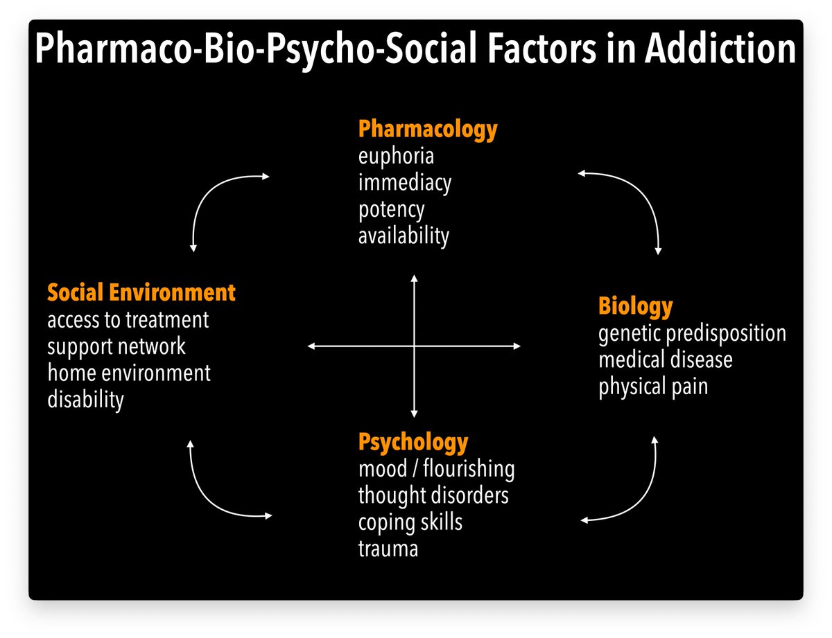 reuben strayer tweet media