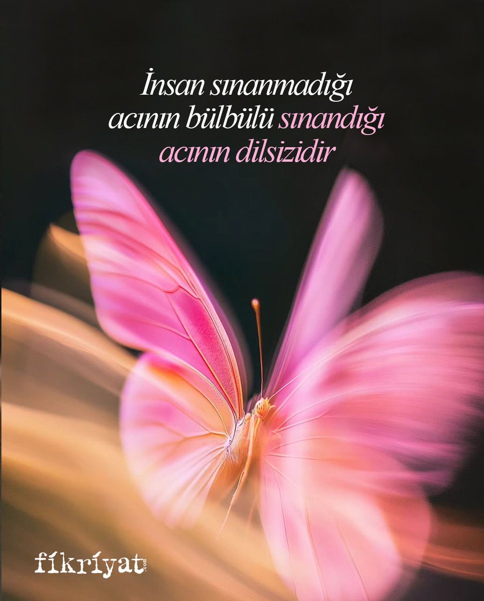 fikriyatcom's tweet photo. “İnsanoğlu sınanmadığı acının bülbülü, sınandığı acının dilsizidir” demişler boşuna dememişler… ❤️‍🩹 https://t.co/9J6NmPEFWD
