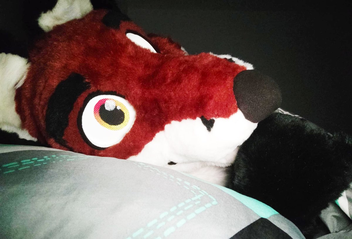 PlayerGameSK's tweet photo. I was actually going to touch some grass this week for a change, but then my sleep schedule mysteriously turned UPSIDE DOWN (maybe binge watching #StrangerThings for like 4 days straight had something to do with it?), so instead I'm going to bed, gn  
#FursuitFriday (4) https://t.co/vLzUamqhIM