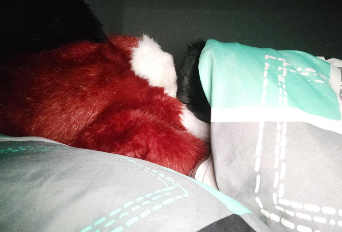 PlayerGameSK's tweet photo. I was actually going to touch some grass this week for a change, but then my sleep schedule mysteriously turned UPSIDE DOWN (maybe binge watching #StrangerThings for like 4 days straight had something to do with it?), so instead I'm going to bed, gn  
#FursuitFriday (4) https://t.co/vLzUamqhIM