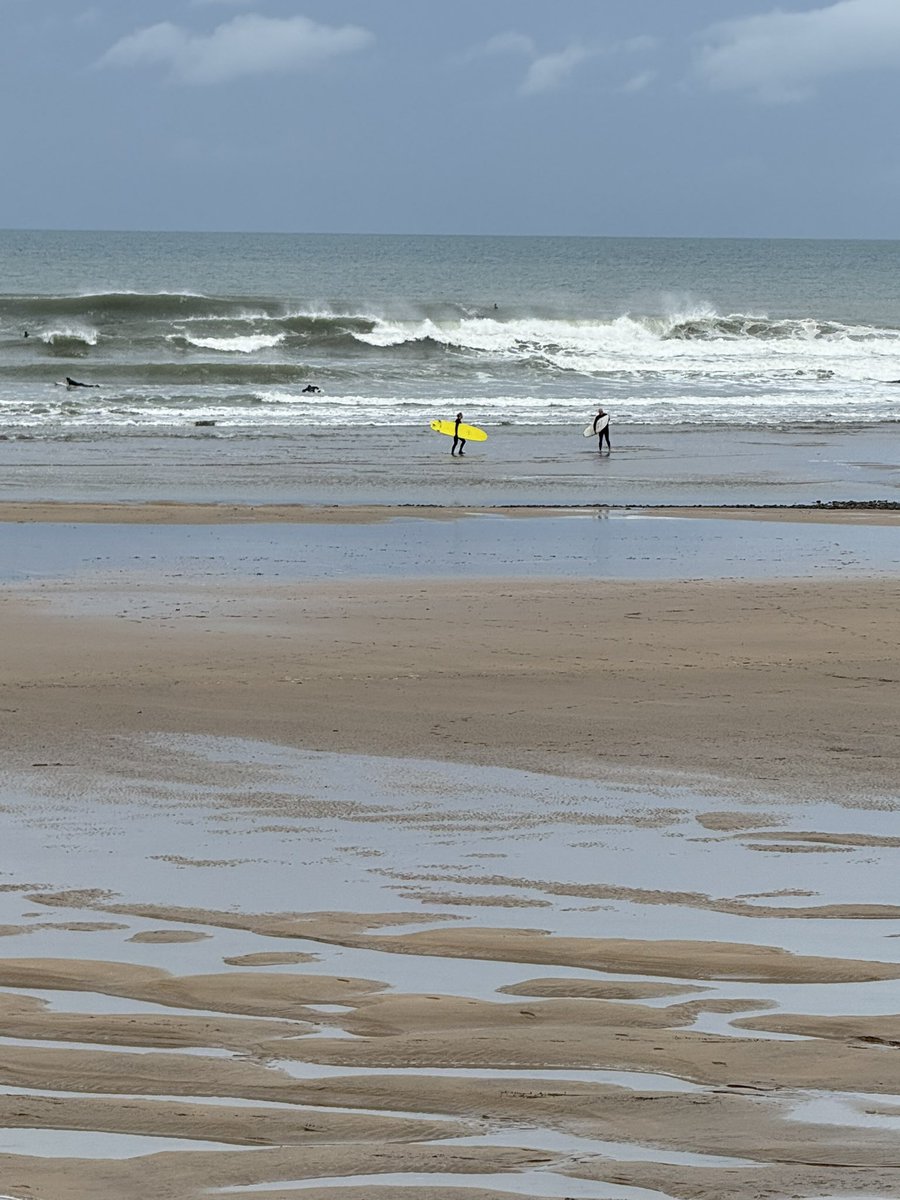 Karen Wilson tweet media