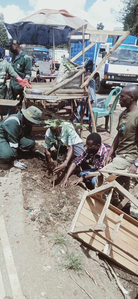 DagorettiG55803's tweet photo. Today Friday the 7th of November was a graceful day where together with the Green Army under the County Government environment department of Nairobi City County Government  and the National government. We have planted whistling pine, Markhamia Lutea, candle nut and white bottle b https://t.co/fd5c8Mzx5E