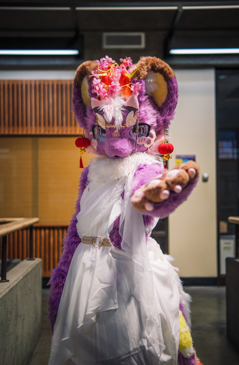 Yuzhi与纸 tweet media