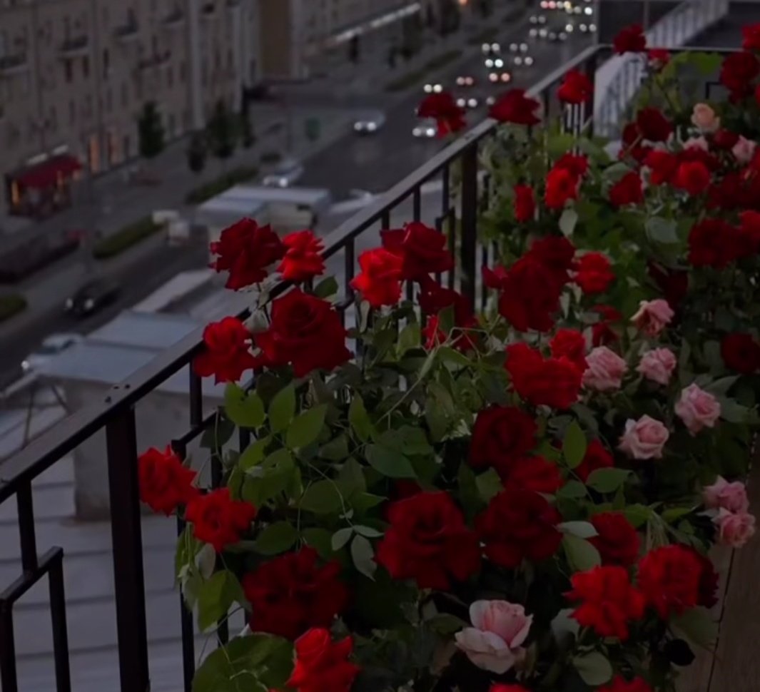 zozankayan's tweet image. Herşeyin en iyisini bilene teslimsin &quot;rabbim🤍&quot;