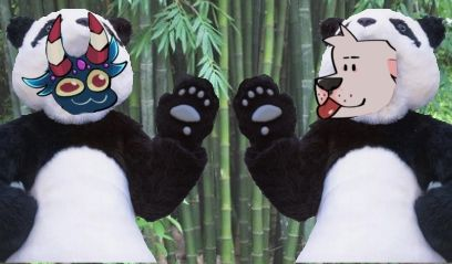 Queria usar pandas para promocionar pero por falta de presupuesto tuve que improvisar...