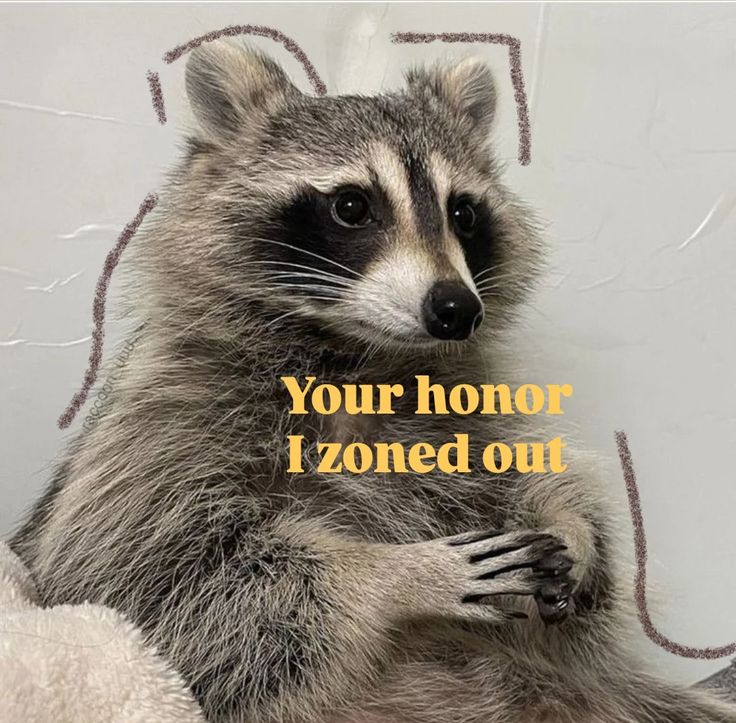 This will be my legal defense when the FBI finally frames and arrests me for exposing their crimes.