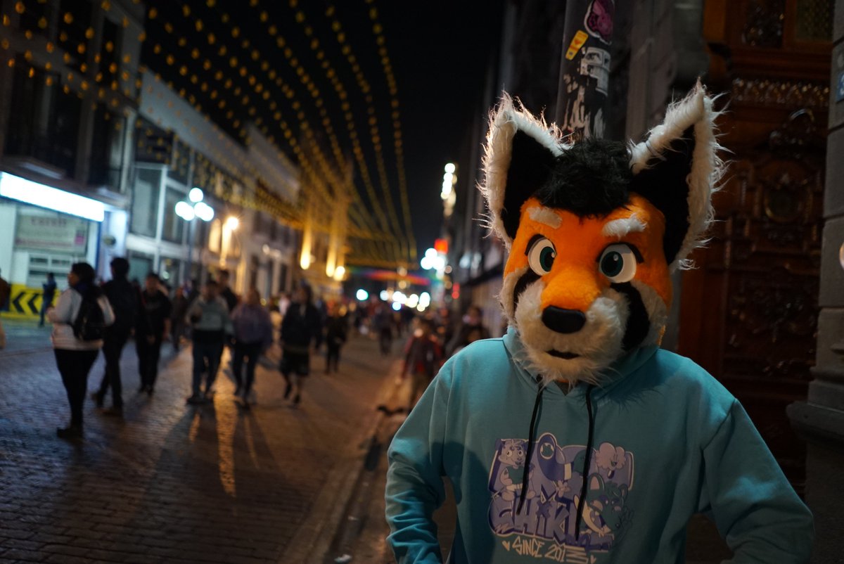gaberpanda's tweet photo. Panda captado en Puebla

📸@sacrisfurry

#FursuitFriday
#Furry https://t.co/5TWMBfIZJl