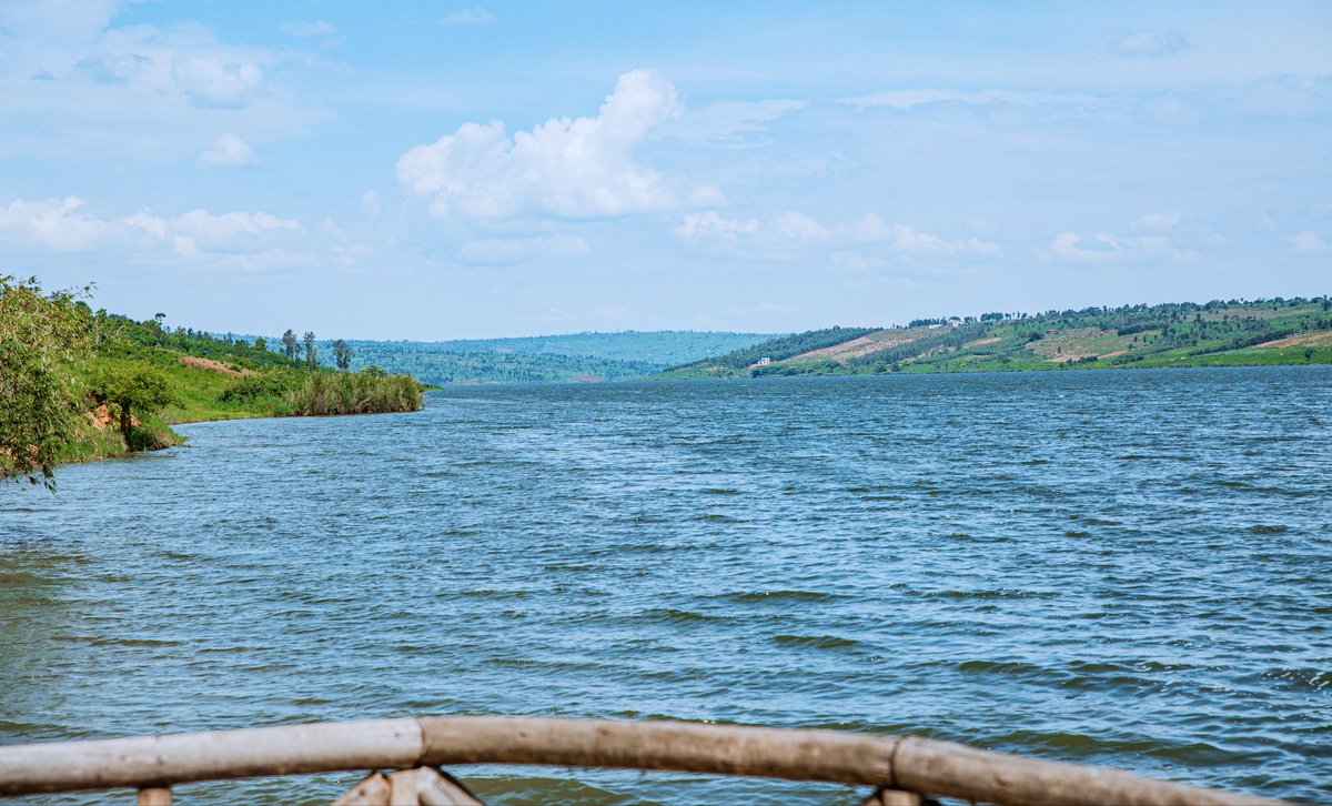 Umucuzistudio's tweet photo. East side 📸
For more check
https://t.co/3aEVyRZm6G
📸: @mugishadan171
#RwandaInPictures #VisitEast #Rwanda #Umucuzi https://t.co/2hziSYW4Dm