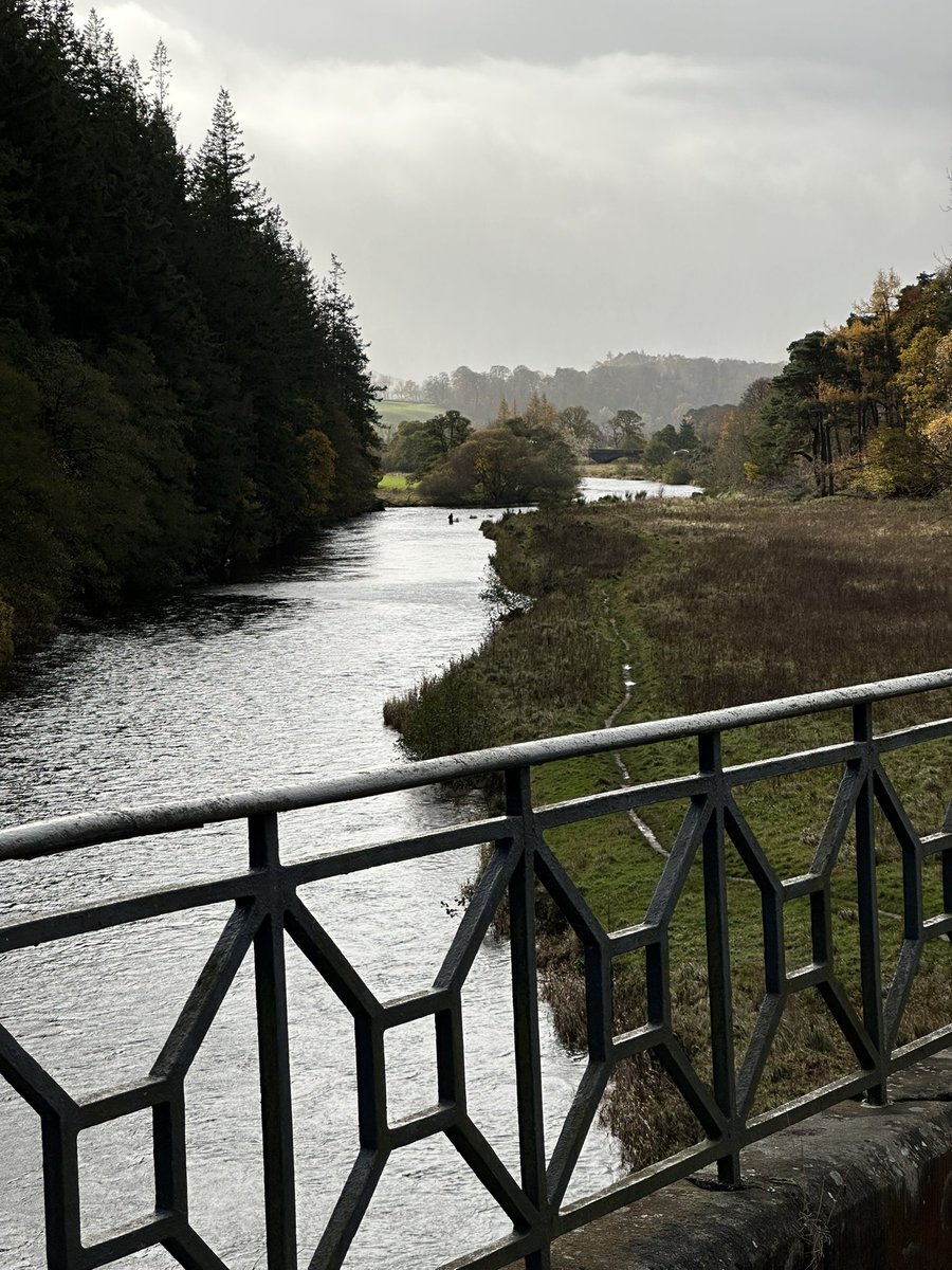 Experiment! Will anybody see this? Let me know please. 
Tweed Valley in autumn splendour earlier today. 
# autumn colour
