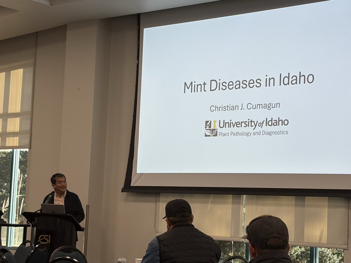 CCumagun's tweet photo. Idaho ranks number 1 in mint production in the US along with potato production, as highlighted in my presentation to growers, crop consultants, and academics at the Annual Meeting of the Idaho Association for Plant Protection. https://t.co/ZjYETMWSlJ