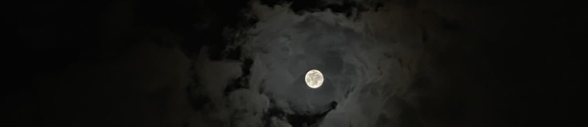 ALLLLLD's tweet image. يجيني مثل نور القمر — مايقبل التشبيه
 وكنّ الناس من حوله نجومٍ مالها داعي
 ❣️