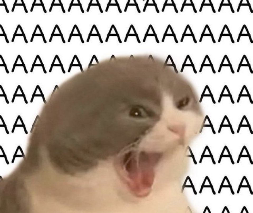 blessedcats's tweet image. 