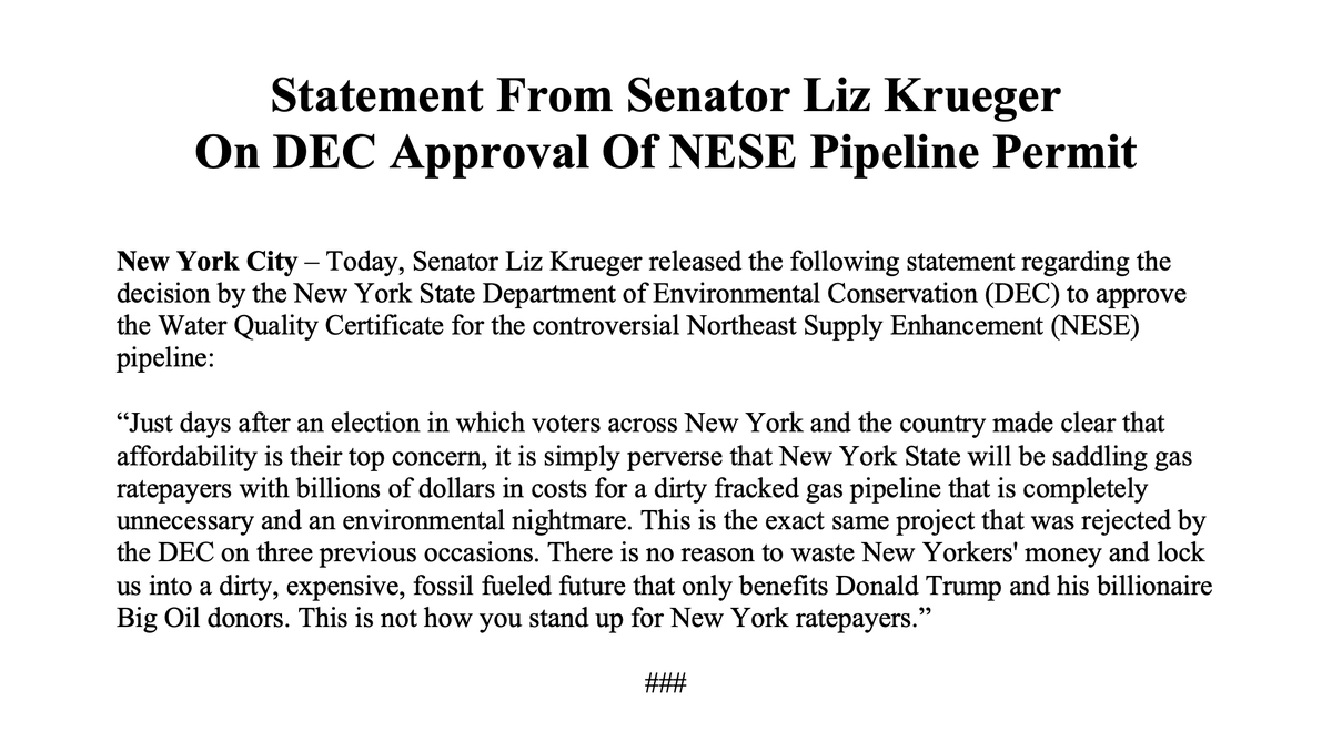 Senator Liz Krueger tweet media