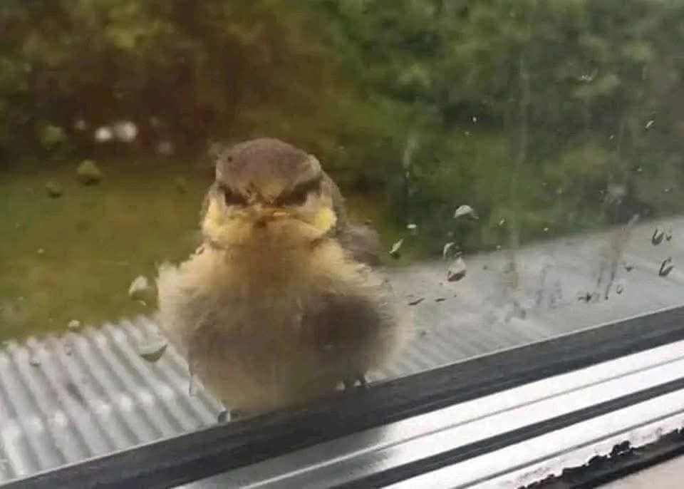 إنه السبت، مجددًا :