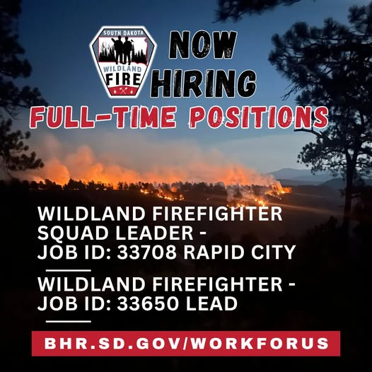 careerssd's tweet photo. Turn your seasonal job into a full-time job with the South Dakota Department of Public Safety and SD Wildland Fire!
Learn more: https://t.co/syTDOGpZ3G
Questions? Text WLF to 605.909.8350
#SouthDakota #careers #fire #stategovernment #fulltime https://t.co/vkgMfqYdXN