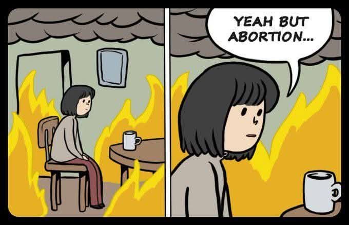 Liberal woman explained