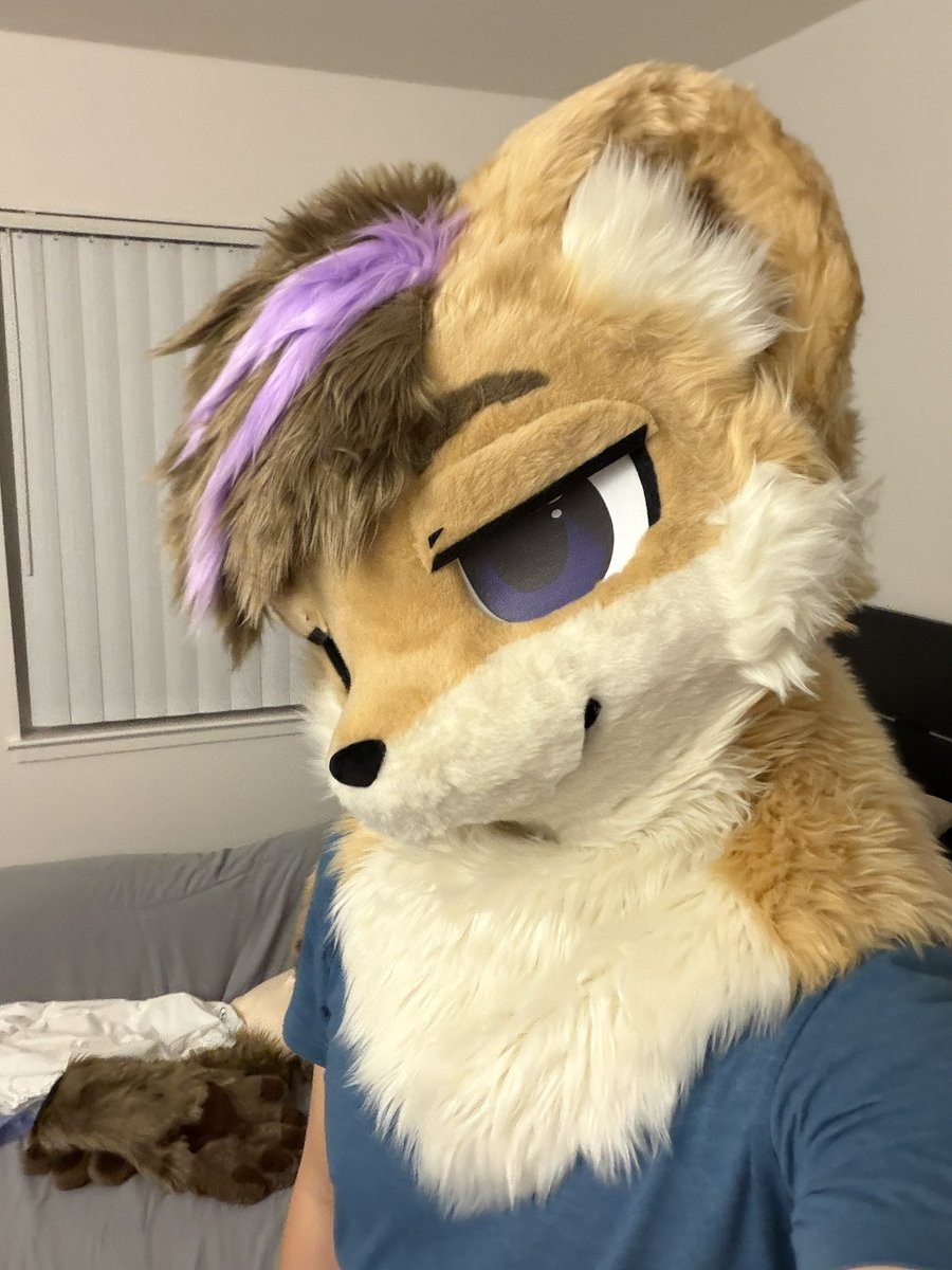 today is #FursuitFriday in california