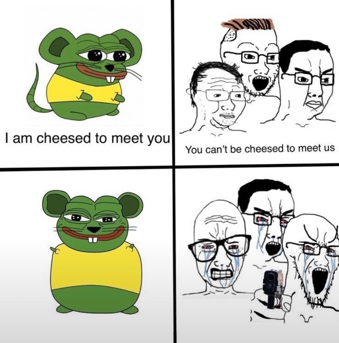 Cheese 🧀💊 (@cheesecoinx) on Twitter photo 